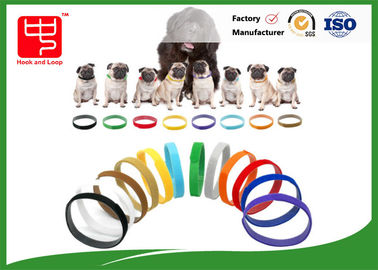 Los cuellos de la identificación del perrito enrarecen el gancho y colocan las correas para el animal doméstico del perro, color distinguen